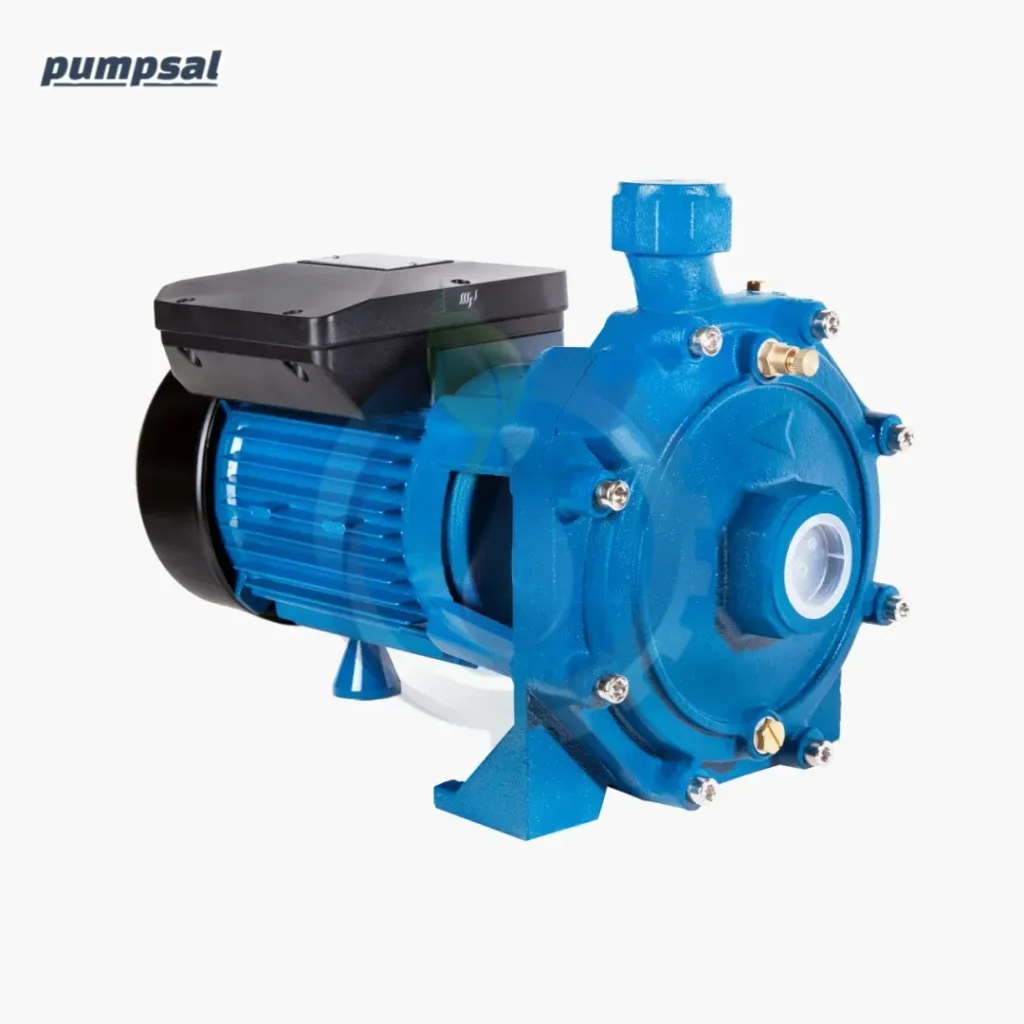 پمپ آب دو اسب دو پروانه ارس CB210/00