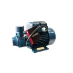 پمپ آب نیم اسب محیطی آبی زاگرس VPM45
