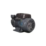 پمپ یک اسب محیطی پترو مدل QB80