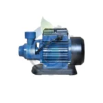 پمپ آب نیم اسب محیطی راین VPM55B